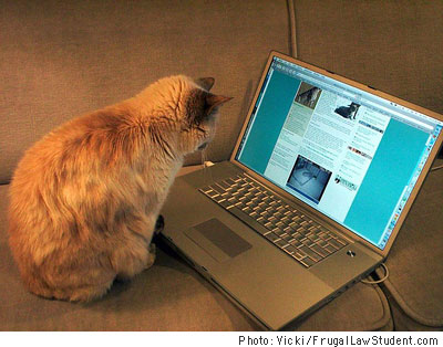 MacBookProCat.jpg