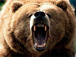 Bearish.jpg