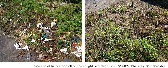 BlightCleanUp-DG.jpg