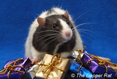 ChristmasRat03.jpg