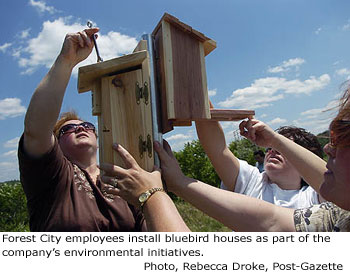 FCE-BlueBirdHouse.jpg