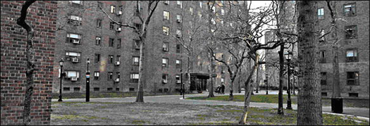 NYT_Stuyvesant_park.jpg