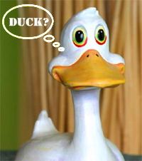 duck.jpg